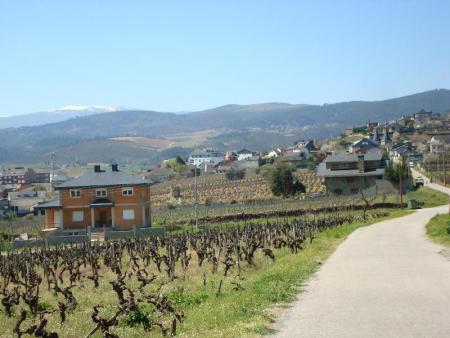 camino de invierno