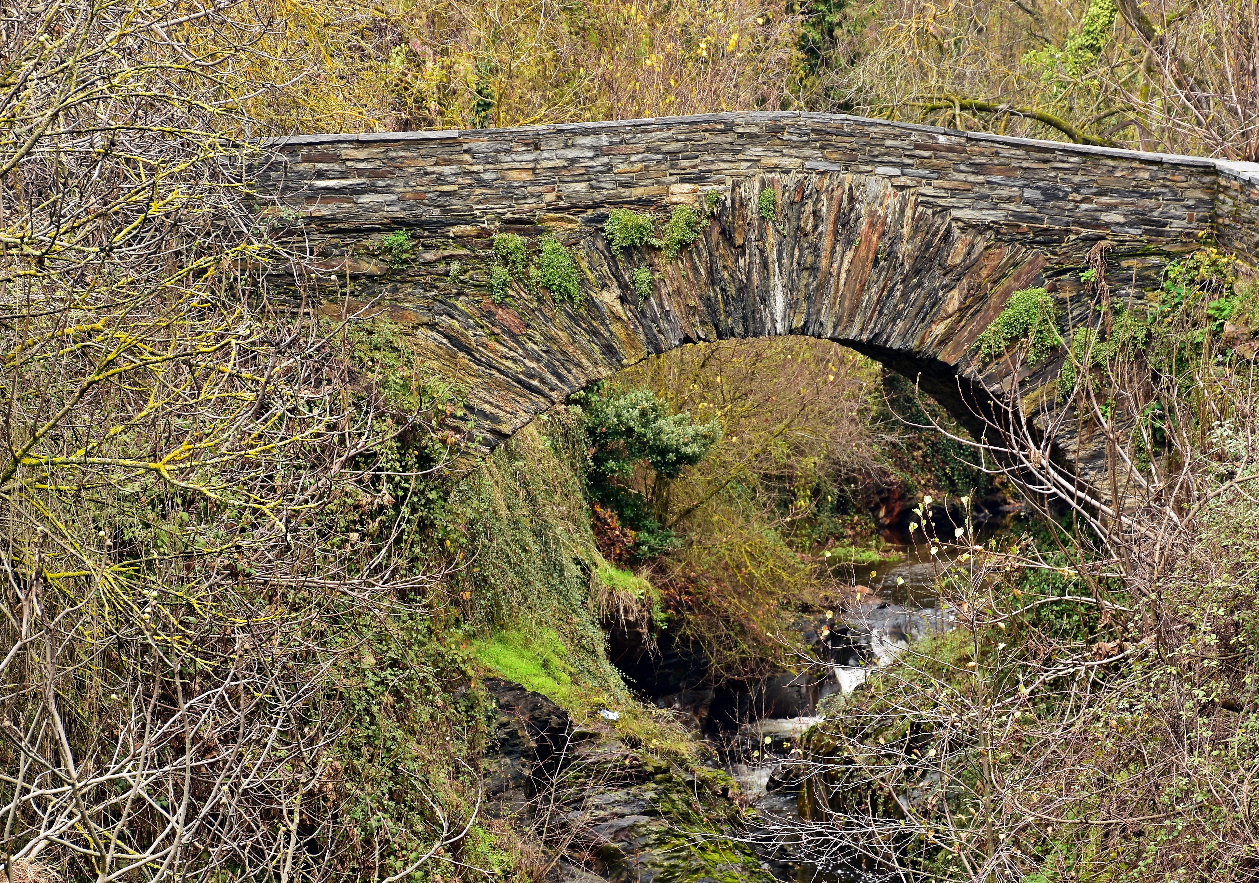 3º premio. Ponte no Galir