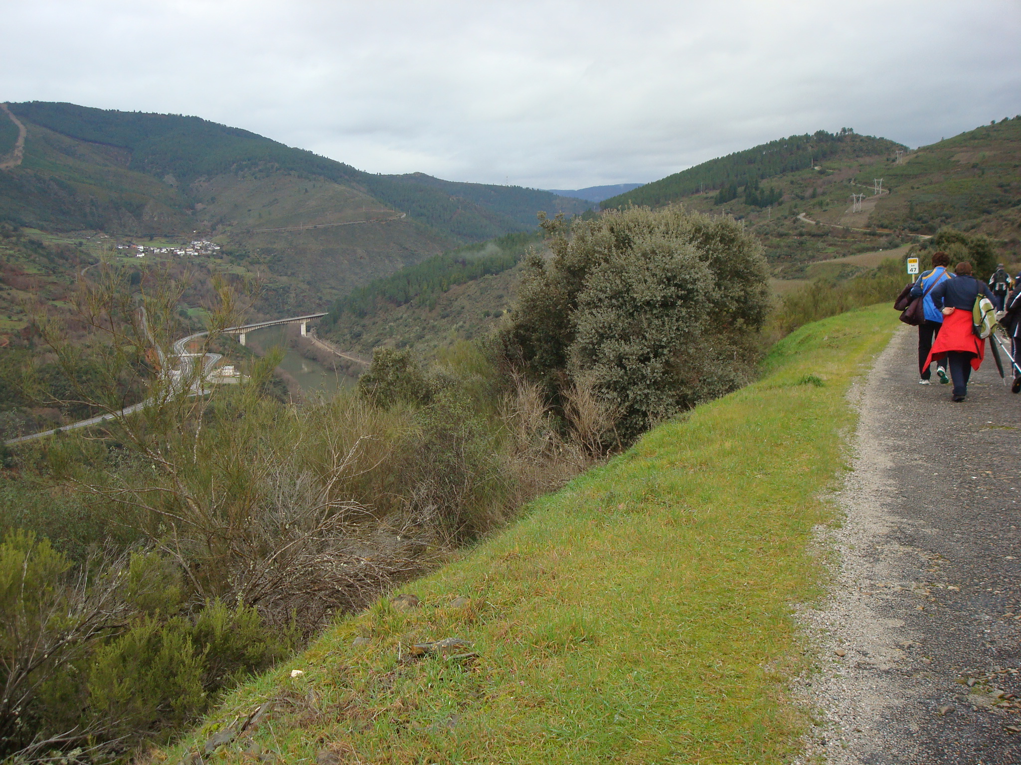 Se ha duplicado el  número de peregrinos que el pasado año, en relación con el 2017, han recorrido el Camino de Invierno