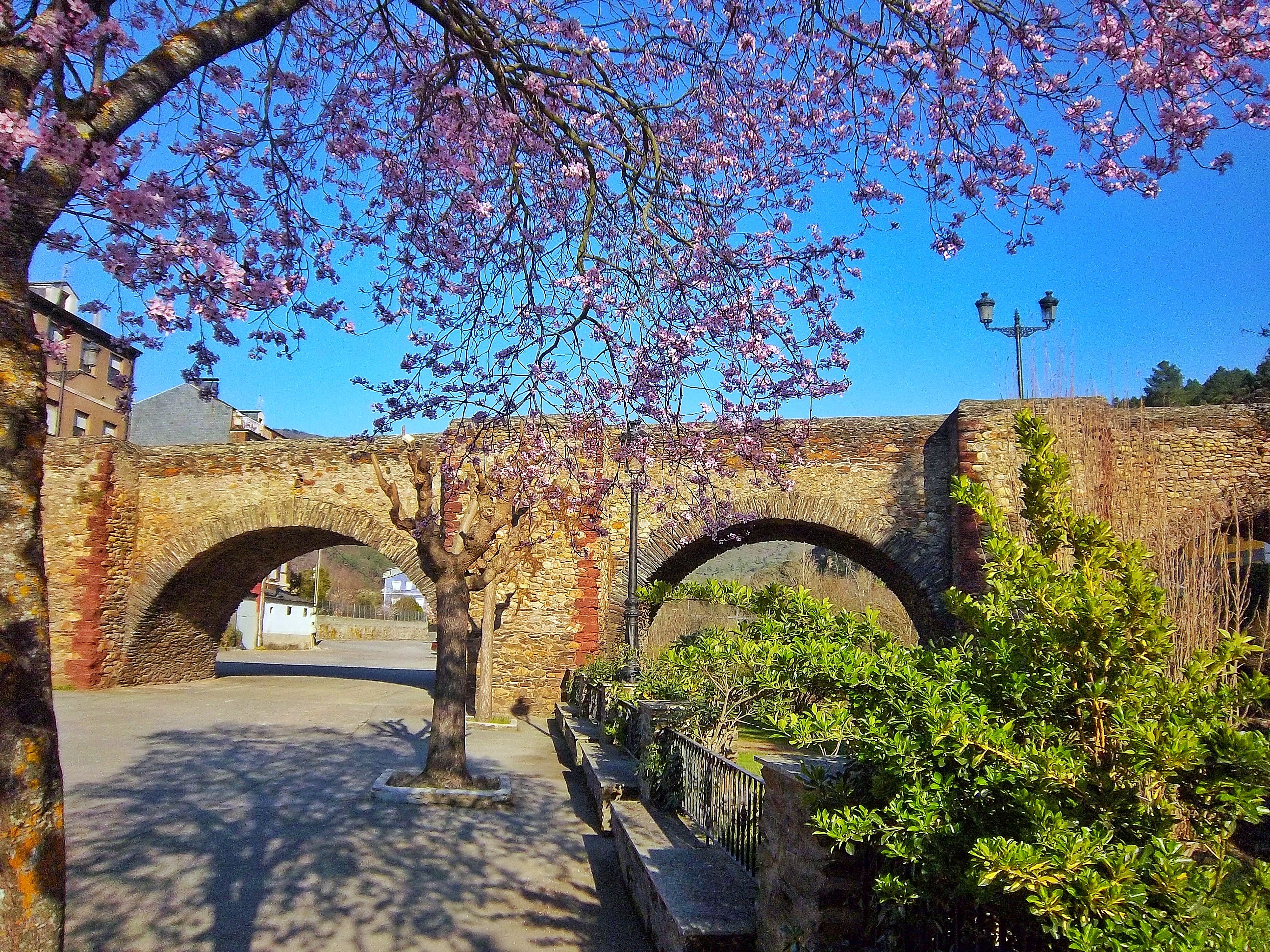 3º Premio. Primavera e ponte medieval sobre el río Sil en Sobradelo (Carballeda de Valdeorras)
