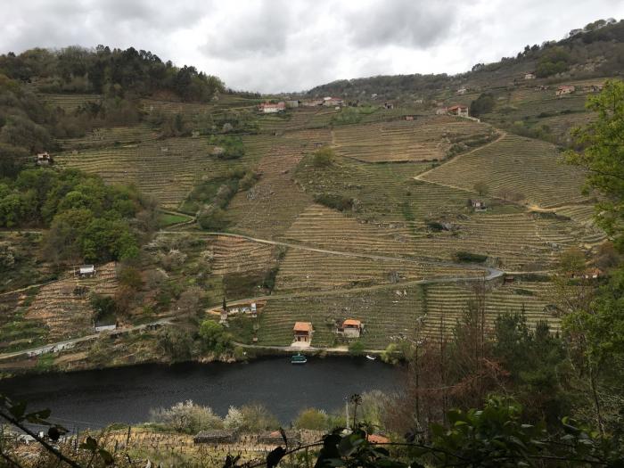 Recorrido por el Camino de Invierno desde Pazo de O Reguengo a Chantada