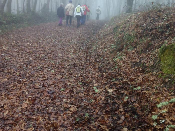 Actualización  de  las medidas sanitarias por el COVID que afectan a  los peregrinos por Galicia