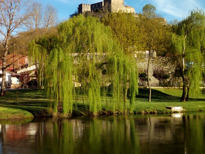 Conjunto monumental de san Vicente del Pino