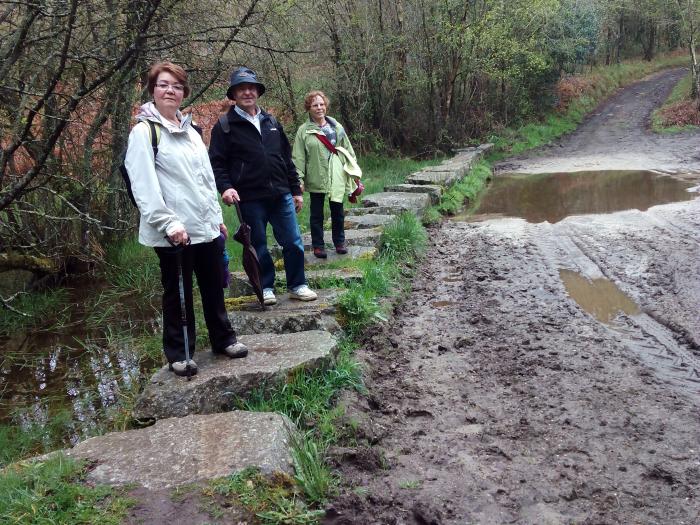 https://www.lavozdegalicia.es/noticia/lemos/2018/04/13/recibimiento-poco-acogedor-peregrinos-monforte/0003_201804M13C2991.htm